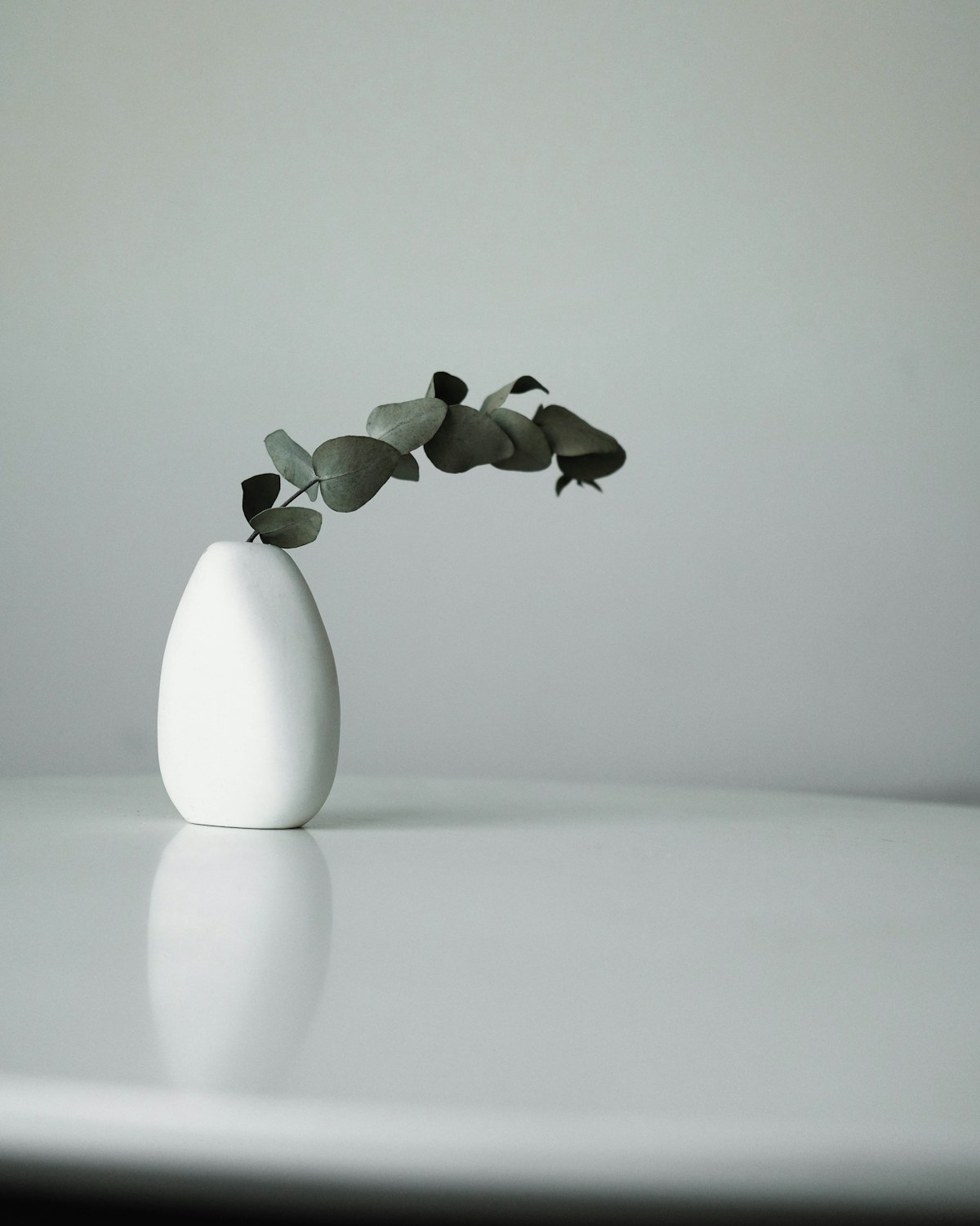 Eucalyptus branches in a ceramic vase
